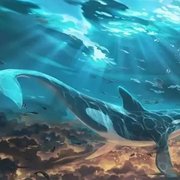 whale_sea